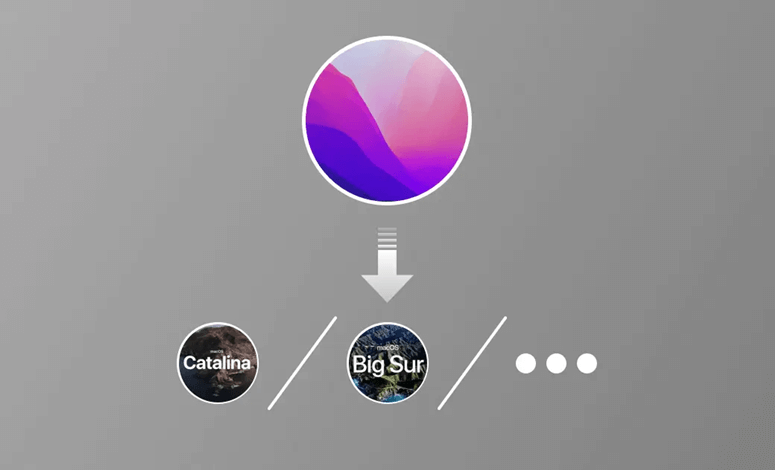 downgrade macOS Monterey to Big Sur
