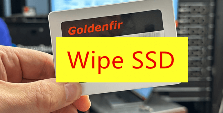 Wipe SSD