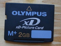 How to Recover Deleted Photos and Videos from XD card?